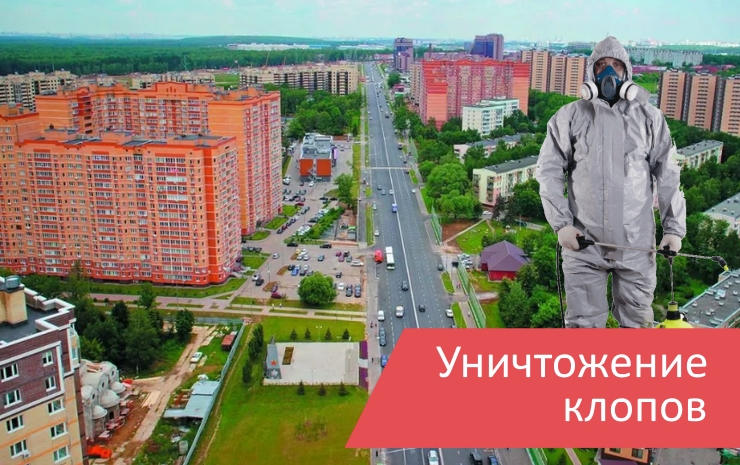 Фото На Документы Коммунарка